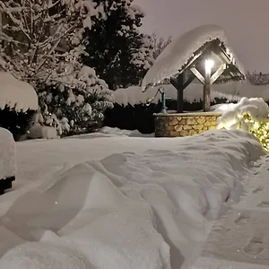Hotel Petri, Múnich